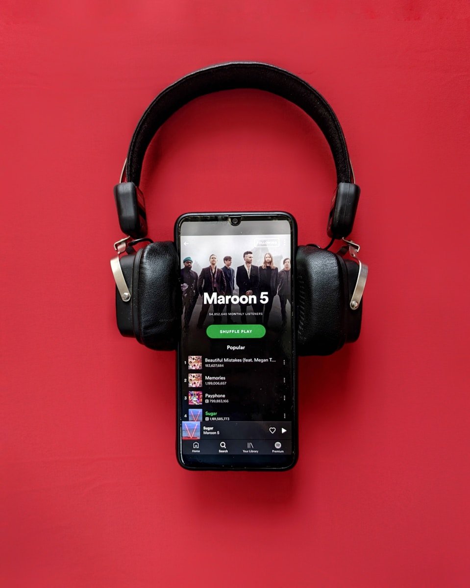 black and gray corded headphones